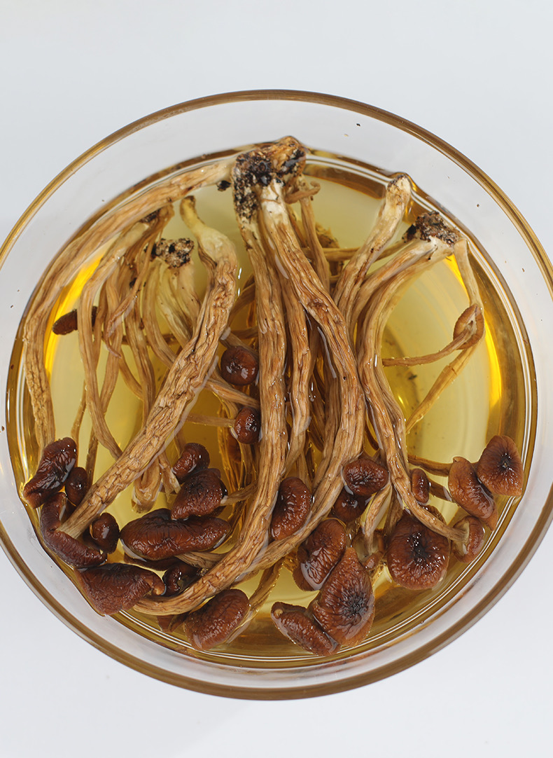 初衷茶樹菇250g(圖9)